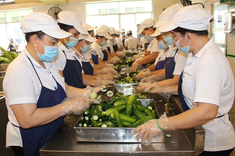 Tăng cường các biện pháp bảo đảm an toàn thực phẩm, phòng chống ngộ độc thực phẩm tại các khu công nghiệp, khu chế xuất, trường học (ảnh minh họa)