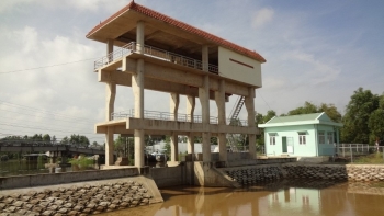 Cà Mau: Triển khai kế hoạch sản xuất lúa Đông Xuân