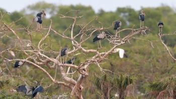 Bạc Liêu ban hành kế hoạch kích cầu du lịch nội địa