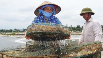 Quảng Ninh: Đẩy mạnh tiêu thụ thủy sản vụ cuối năm