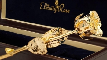 Cập nhật giá vàng hôm nay 11/11: Vàng tăng trở lại