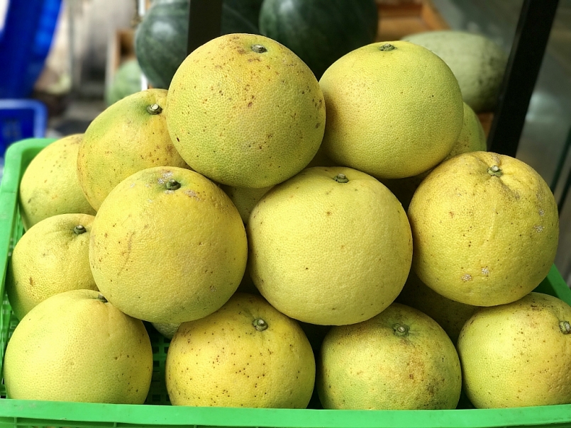 Nhờ có giá trị kinh tế cao, diện tích trồng bưởi Phúc Trạch cũng tăng nhanh trong những năm gần đây