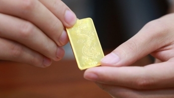 Cập nhật giá vàng hôm nay 11/11: Giữ ổn định vào cuối ngày