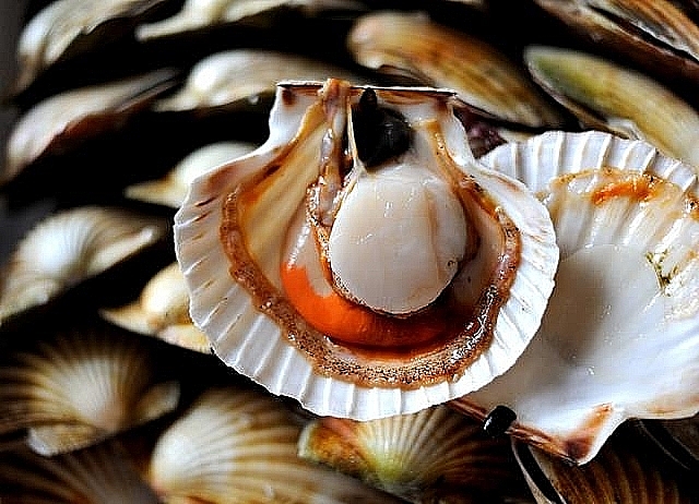 EU tăng nhập khẩu nhuyễn thể hai mảnh vỏ đông lạnh từ Việt Nam