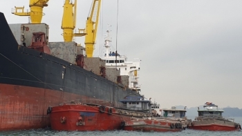 Đề nghị xây dựng Nghị định quy định tiêu chí phân loại cảng biển