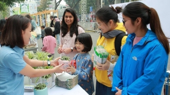 Hà Nội: Thực hiện chương trình thu gom, phân loại và tái chế vỏ hộp sữa