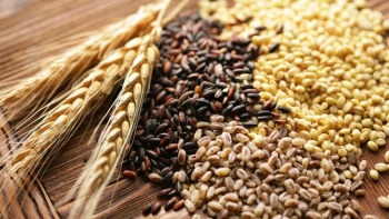 Nhập khẩu thức ăn chăn nuôi và nguyên liệu tháng 10 giảm nhẹ