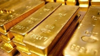 Cập nhật giá vàng hôm nay 19/11: Thị trường thế giới giảm mạnh