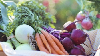 Giá rau củ quả hôm nay 19/11: Các siêu thị tăng cường giảm giá