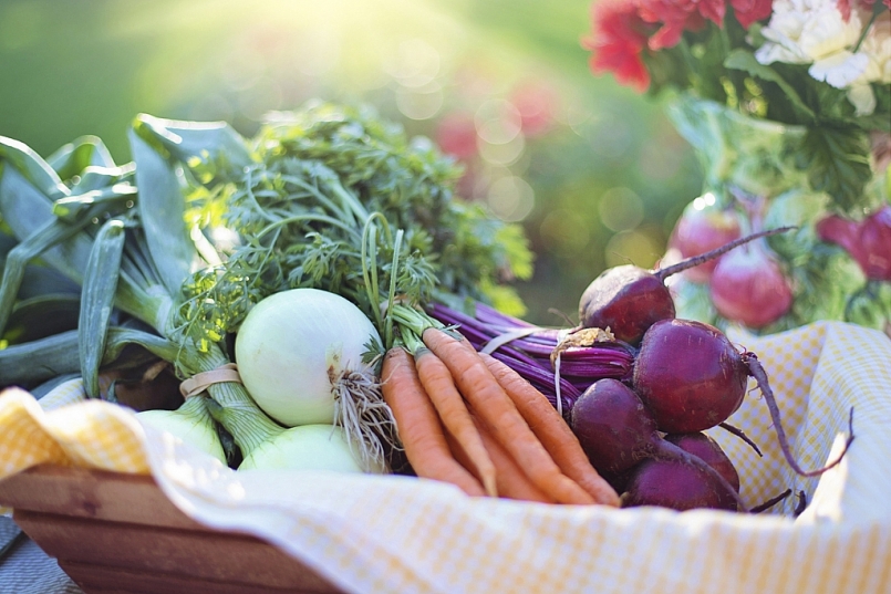 Mặt hàng rau củ quả hôm nay 19/11 được ác siêu thị tăng cường giảm giá Mặt hàng rau củ quả hôm nay 19/11 được ác siêu thị tăng cường giảm giá