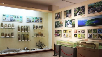 Lần đầu tiên tổ chức "Ngày hội Di sản văn hóa Đà Nẵng"