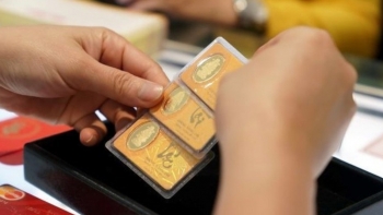 Cập nhật giá vàng hôm nay 20/11: Lao dốc