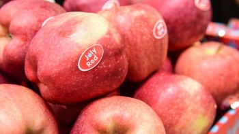 Giá rau củ quả hôm nay 20/11: Không ngừng khuyến mãi