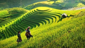 Yên Bái: Phát triển cơ sở hạ tầng xanh cho vùng đồng bào dân tộc thiểu số