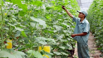 Hà Nội không còn tình trạng nợ đọng trong xây dựng nông thôn mới