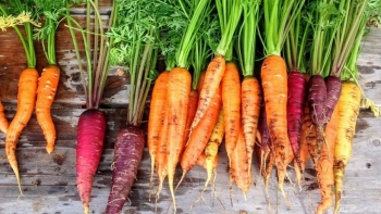 Giá rau củ quả hôm nay 23/11: Tiếp tục khuyến mãi trong ngày đầu tuần