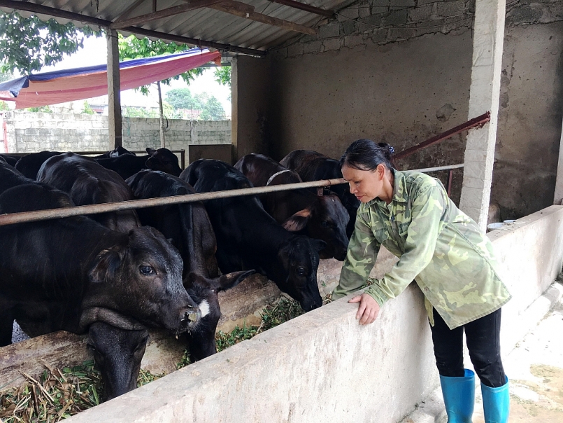 Chương trình phấn đấu xây dựng được 340 mô hình trình diễn kỹ thuật;