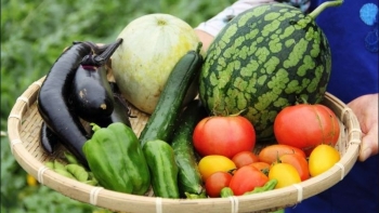 Giá rau củ quả hôm nay 25/11: Tiếp tục được giảm giá