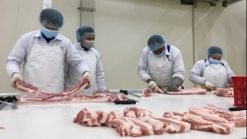 Giá thịt lợn hôm nay 25/11: Không có sự thay đổi