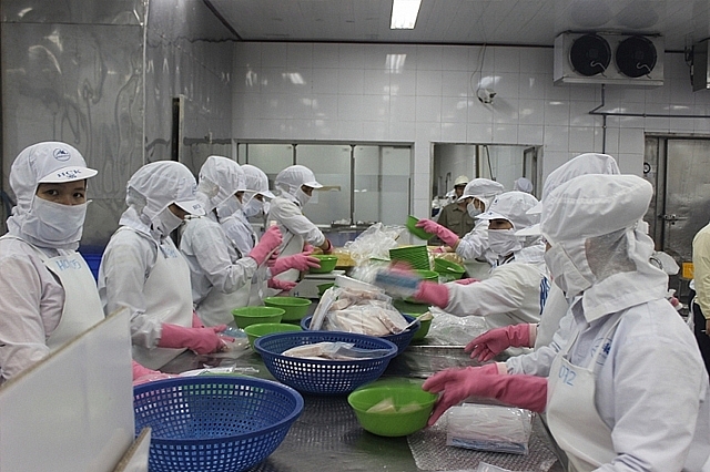 Thuỷ sản xuất khẩu của Việt Nam sẽ không bị tác động nhiều bởi quy định siết chặt kiểm soát thuỷ sản nhập khẩu của Trung Quốc