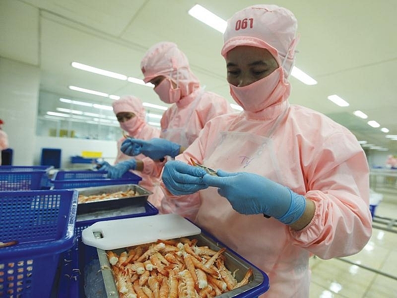 Tháng 10, xuất khẩu tôm Việt Nam sang EU đạt 65,4 triệu USD, tăng gần 42% so với cùng kì năm ngoái Tháng 10, xuất khẩu tôm Việt Nam sang EU đạt 65,4 triệu USD, tăng gần 42% so với cùng kì năm ngoái