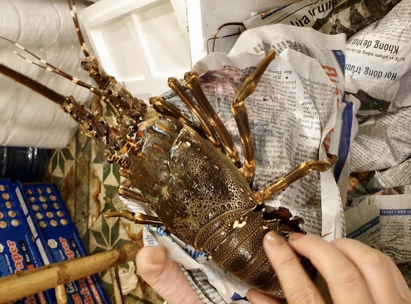 Xuất khẩu tôm vào Mỹ và EU trong tháng 10 tăng hơn 25%