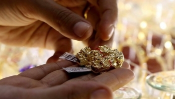 Cập nhật giá vàng hôm nay 25/11: Trong nước giảm mạnh theo đà thế giới