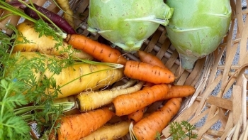 Giá rau củ quả hôm nay 26/11: Không ngừng được ưu đãi