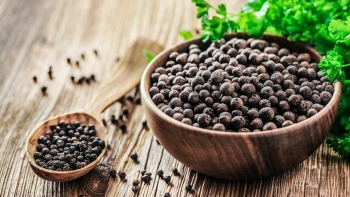 Giá hồ tiêu hôm nay 28/11: Tiếp tục tăng tại Tây Nguyên