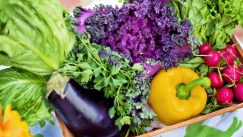 Giá rau củ quả hôm nay 28/11: Tiếp tục có giá tốt trong ngày cuối tuần