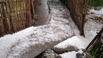 Hỗ trợ người dân miền núi phía Bắc khắc phục hậu quả do mưa đá, dông lốc