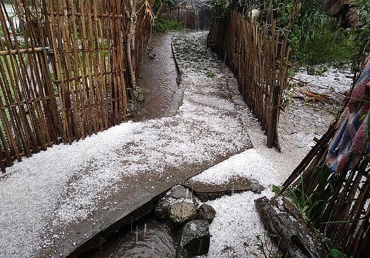 Chính phủ sẽ hỗ trợ hơn 381 tỷ đồng cho 11 tỉnh miền núi phía bắc khắc phục hậu quả do mưa đá, dông lốc, lũ, lũ quét, sạt lở đất