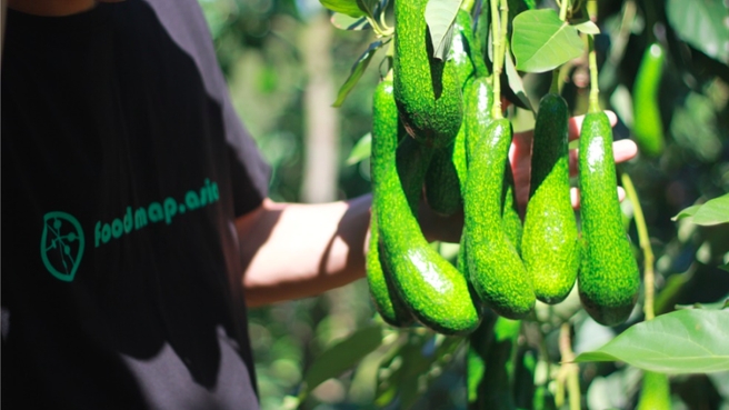 FoodMap.asia giành giải Nhất cuộc thi Startup Hunt 2020