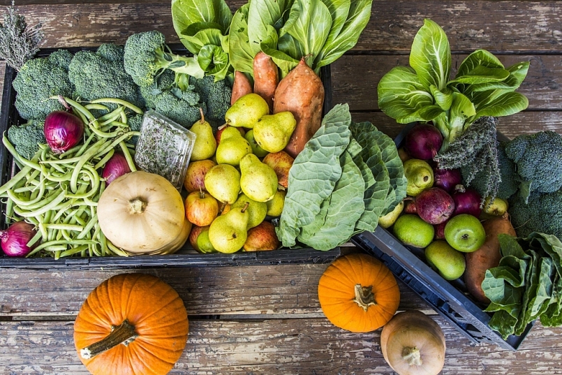 Nhiều mặt hàng được các siêu thị tăng cường khuyến mãi Nhiều mặt hàng được các siêu thị tăng cường khuyến mãi