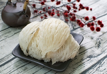 Phát triển bền vững ngành yến hướng tới xuất khẩu tại các tỉnh phía Nam