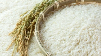 Cập nhật giá gạo chiều nay 1/12:  Quay đầu giảm nhẹ