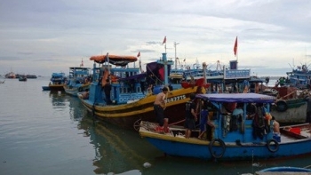 Nghệ An: Công bố mở hai cảng cá Quỳnh Phương và Cửa Hội