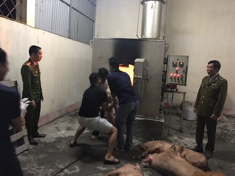 tiến hành tiêu hủy toàn bộ số tang vật theo quy định