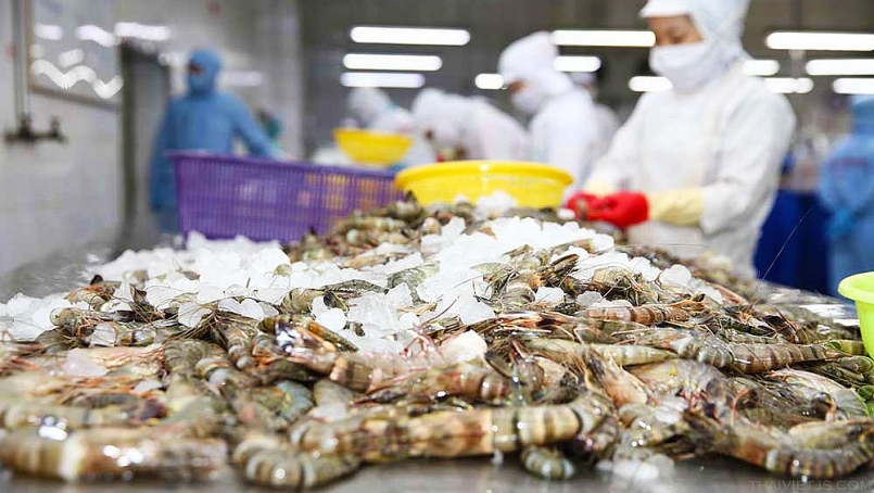 Doanh nghiệp xuất khẩu tôm cần cân nhắc việc mở rộng thị trường tiêu thụ, tránh phụ thuộc vào một số thị trường chính