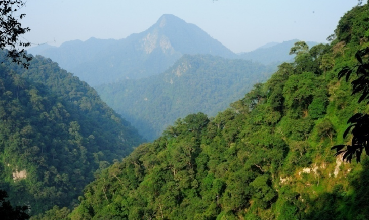 Thanh Hóa Phê duyệt Đề án Du lịch sinh thái, nghỉ dưỡng, giải trí trong rừng đặc dụng Khu bảo tồn thiên nhiên Xuân Liên Thanh Hóa Phê duyệt Đề án Du lịch sinh thái, nghỉ dưỡng, giải trí trong rừng đặc dụng Khu bảo tồn thiên nhiên Xuân Liên