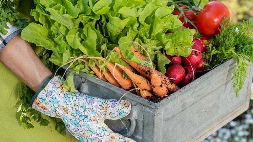 Các siêu thị tăng cường khuyến mãi các loại mặt hàng