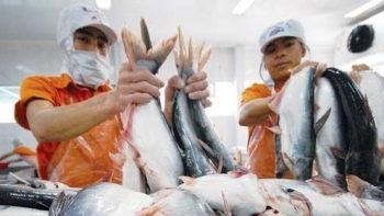 Chính phủ chỉ đạo theo dõi tình hình, xứ lý ách tắc xuất khẩu thủy sản sang Trung Quốc