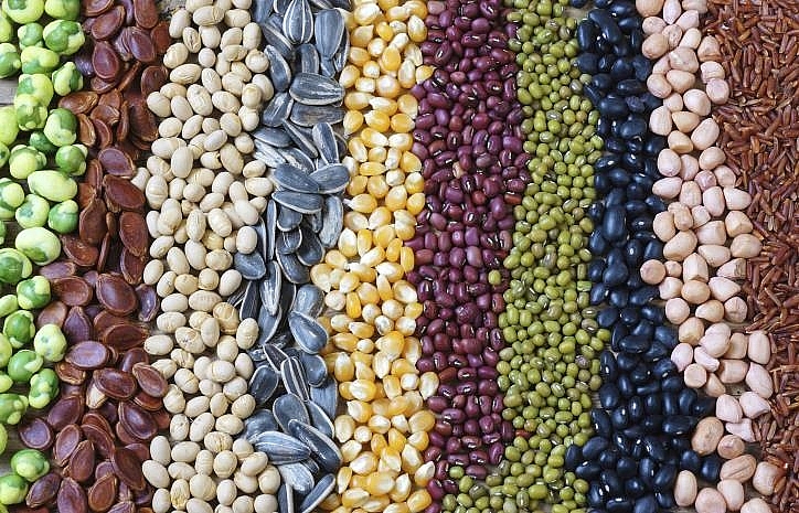 Quy định mới không chỉ kiểm soát việc sử dụng thuốc trừ sâu trong các sản phẩm, mà còn liên quan đến quản lý đất và sản xuất thực phẩm. Quy định mới không chỉ kiểm soát việc sử dụng thuốc trừ sâu trong các sản phẩm, mà còn liên quan đến quản lý đất và sản xuất thực phẩm.