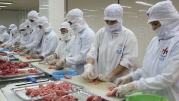 Nhập khẩu cá ngừ đóng hộp của Đức tăng mạnh