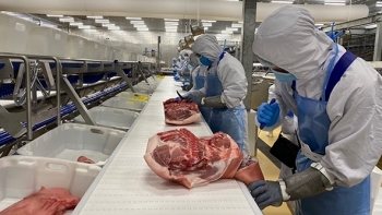 Giá thịt lợn hôm nay 9/12: Thị trường vẫn giữ ổn định