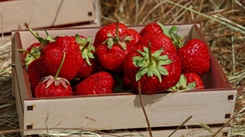 Giá rau củ quả hôm nay 10/12: Nhiều ưu đãi tốt cho người tiêu dùng