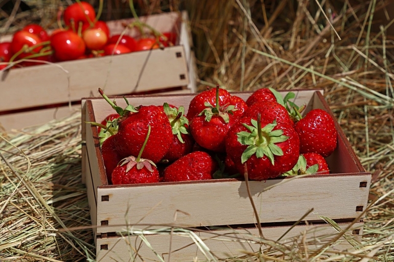 Giá rau củ quả hôm nay 10/12: Nhiều ưu đãi tốt cho người tiêu dùng