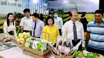 Đồng Tháp: Khai mạc Hội chợ “Sản phẩm OCOP - Kết nối vươn xa”
