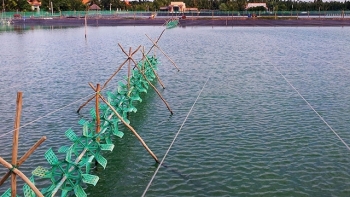 Bạc Liêu: Kế hoạch phòng, chống dịch bệnh trên thủy sản và gia súc, gia cầm năm 2021