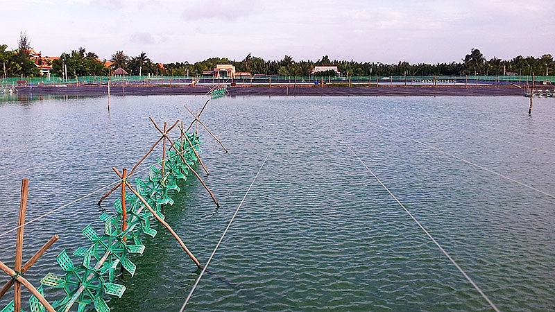 Kế hoạch phòng, chống dịch bệnh đối với thủy sản và gia súc, gia cầm năm 2021 trên địa bàn tỉnh Bạc Liêu